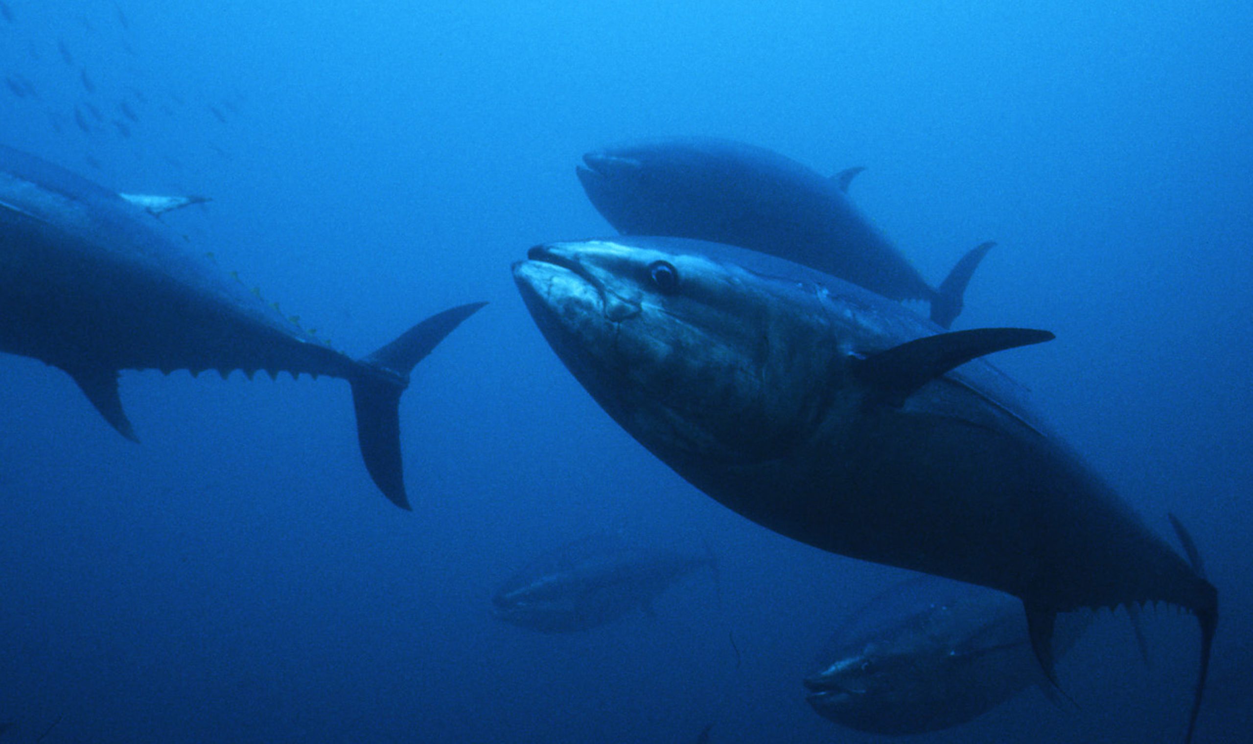 周年企業へ取材！vol.5